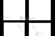 Gạch Ốp Lát APODIO 66181033